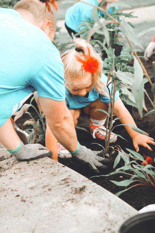 Solutions For Urban Agriculture (SFUA)