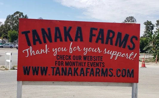 Little Farm in a Big City