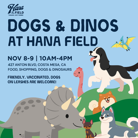 DOG DAYS at Hana Field, Costa Mesa