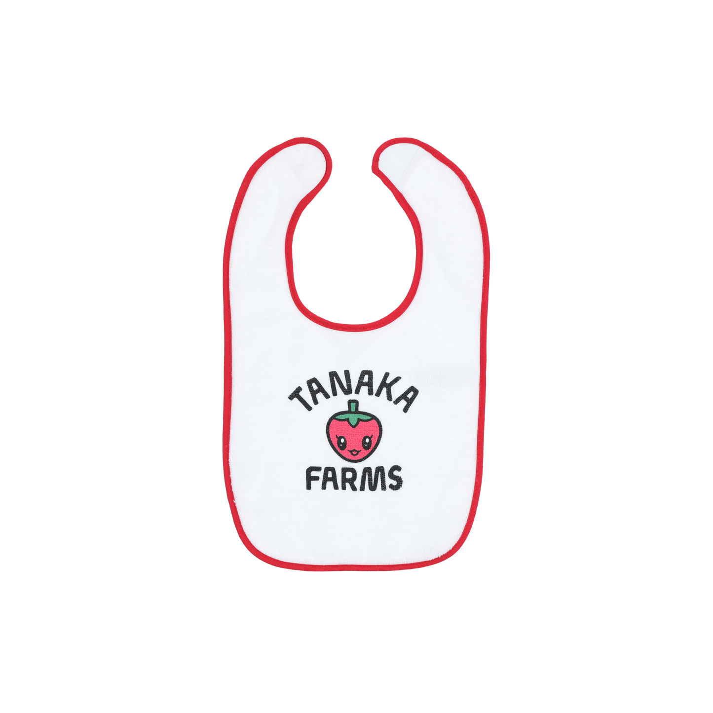 Baby Bib - Spring Strawberry