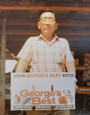 Portrait for 1970s - 1990s