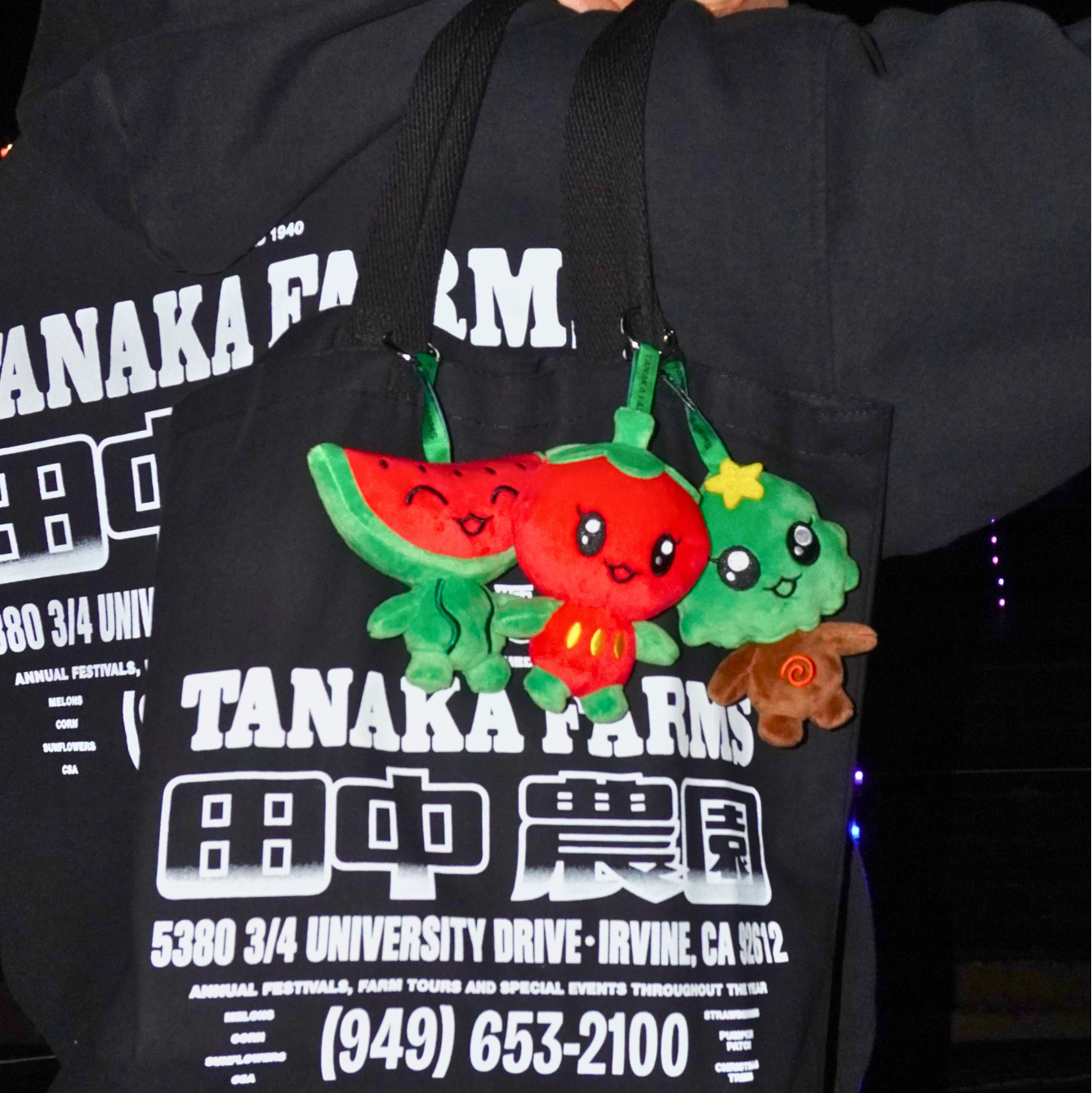 Mascot Plush Keychain - Ichi